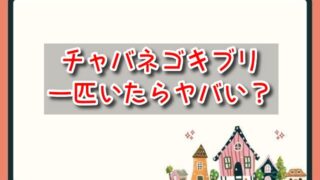 チャバネゴキブリが一匹だけでもいたらヤバい？玄関やベランダで見つけたら？